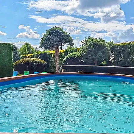 Stunning In * Cieciorka